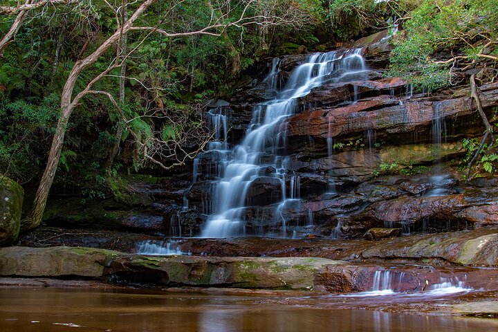 Nature and Wildlife: Australia in One Day - Private Tour