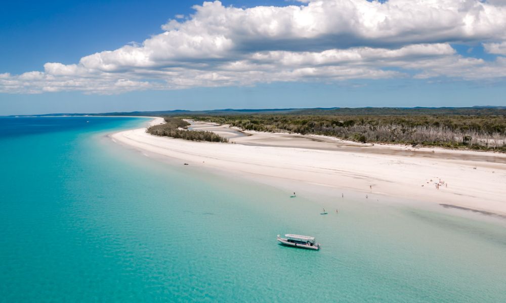 Hervey Bay Whale Watching and Fraser Island Beach Tour