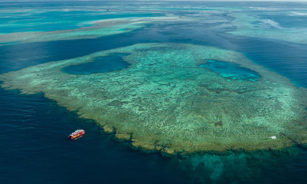 Outer Great Barrier Reef Snorkel Adventure From Airlie Beach