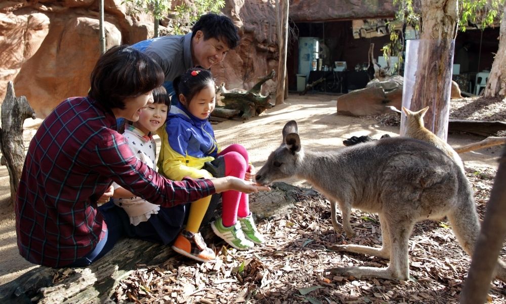 WILD LIFE Sydney Zoo Entry Tickets Sale