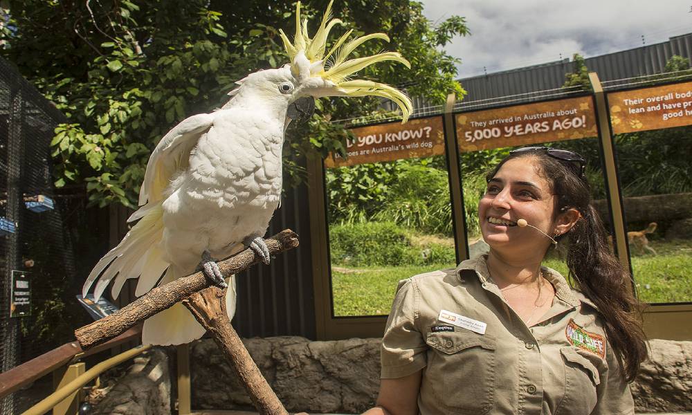 WILD LIFE Sydney Zoo Entry Tickets Sale