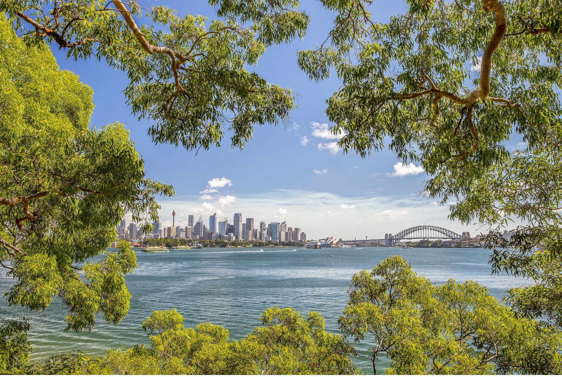 Sydney by Nature, Views and Serenity