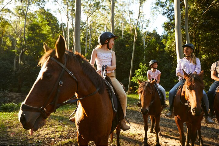 Horse Riding, Koalas & Kangaroos - Wild Australia: Private Tour