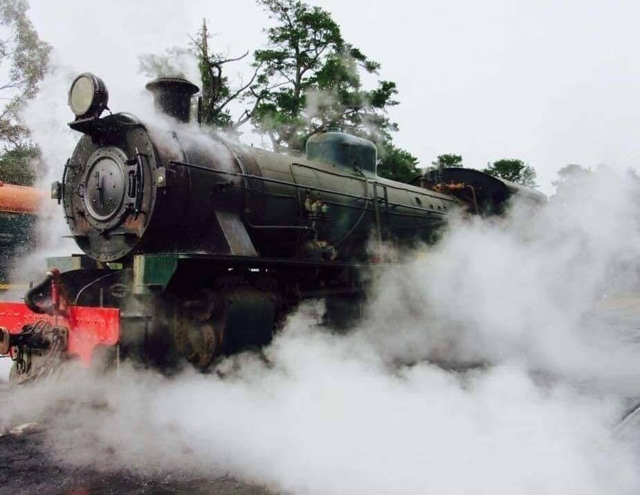 FOREST SURPRISE TOUR & STEAM TRAIN FOR A COUPLE