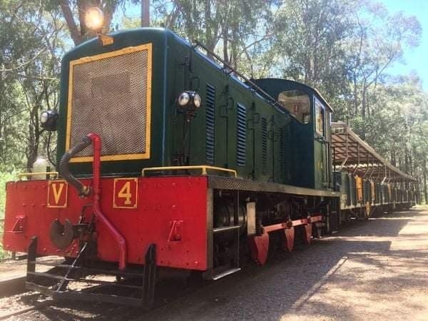 FOREST SURPRISE TOUR & DIESEL TRAIN FOR A COUPLE