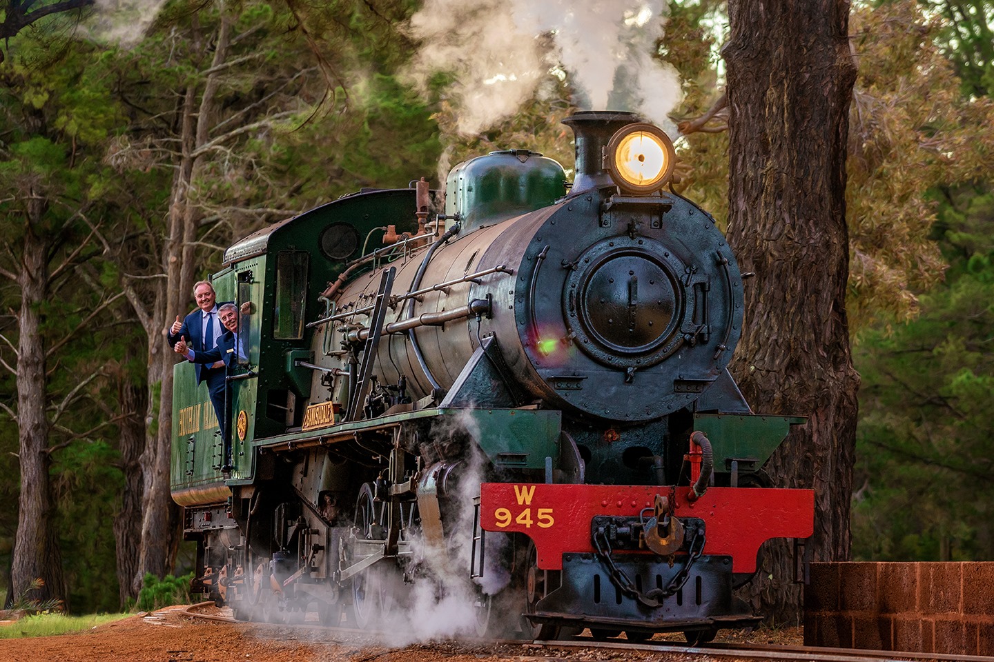 FOREST SURPRISE TOUR & STEAM TRAIN