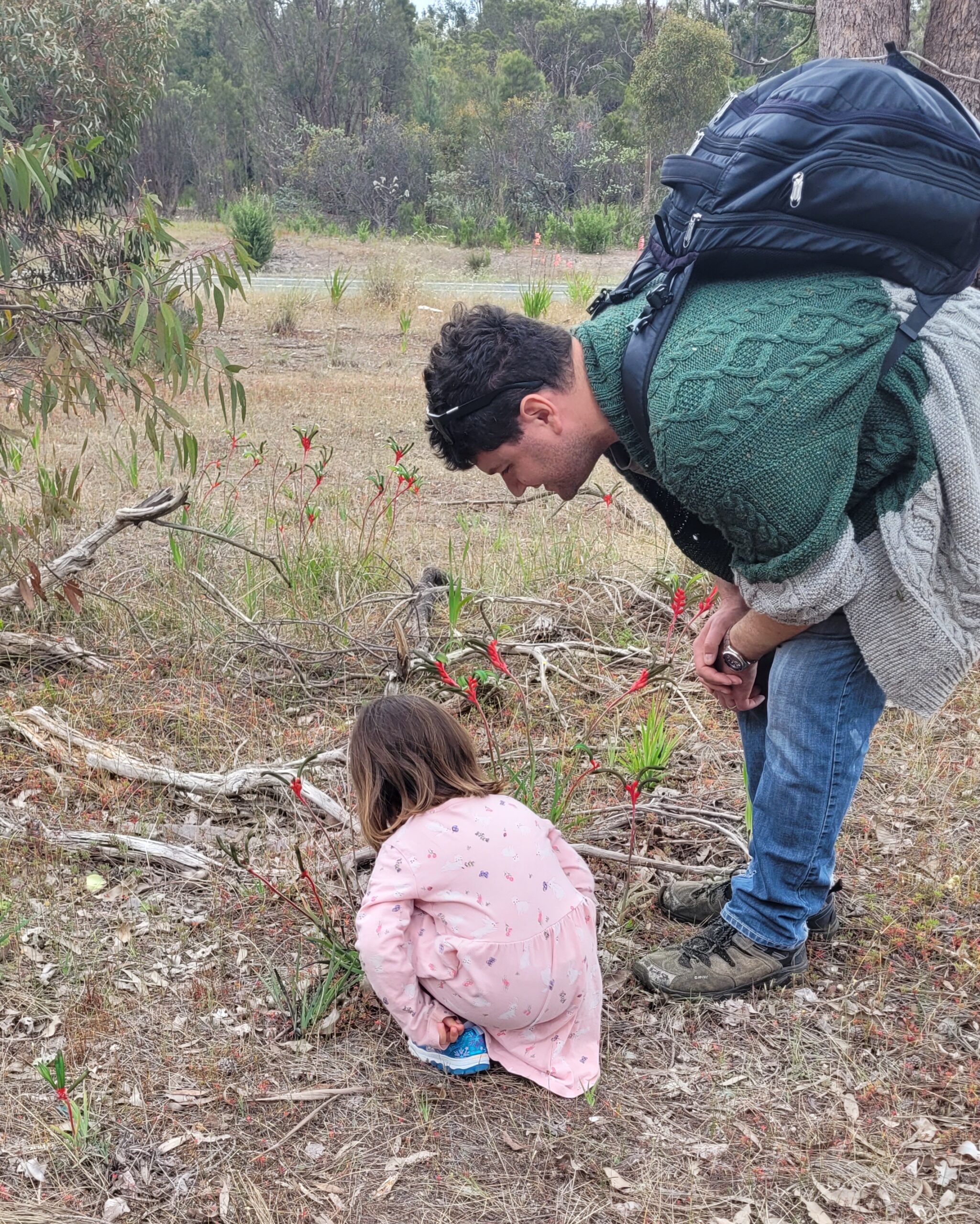 Wildflower Walks - Collie Western Australia