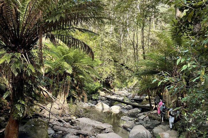 Great Ocean Road to Lorne beaches & Waterfall Melbourne DayTrip