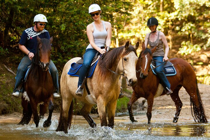 Horse Riding, Koalas & Kangaroos - Wild Australia: Private Tour