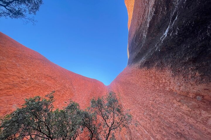 Ayers Rock Uluru Private Tour