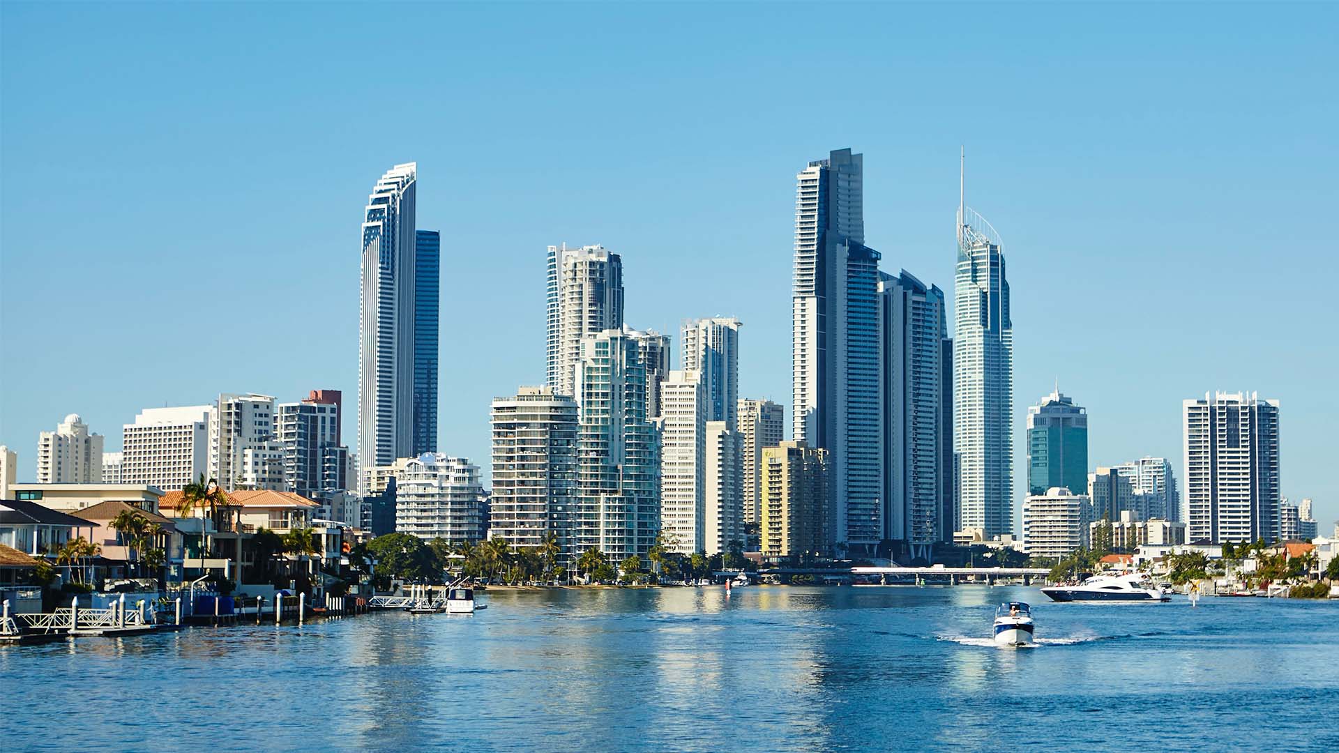 Whales in Paradise - Gold Coast