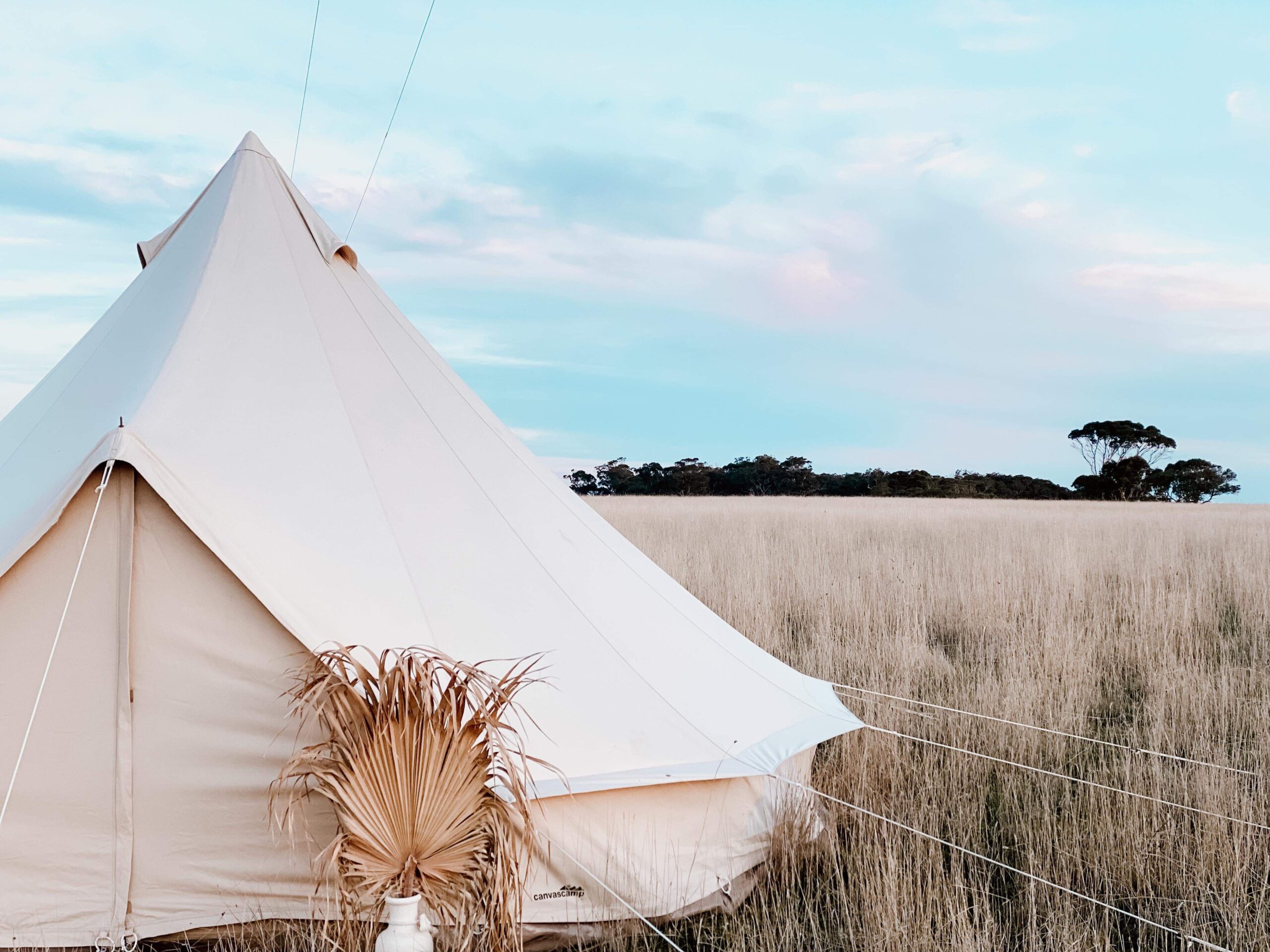 honey+sun glamping