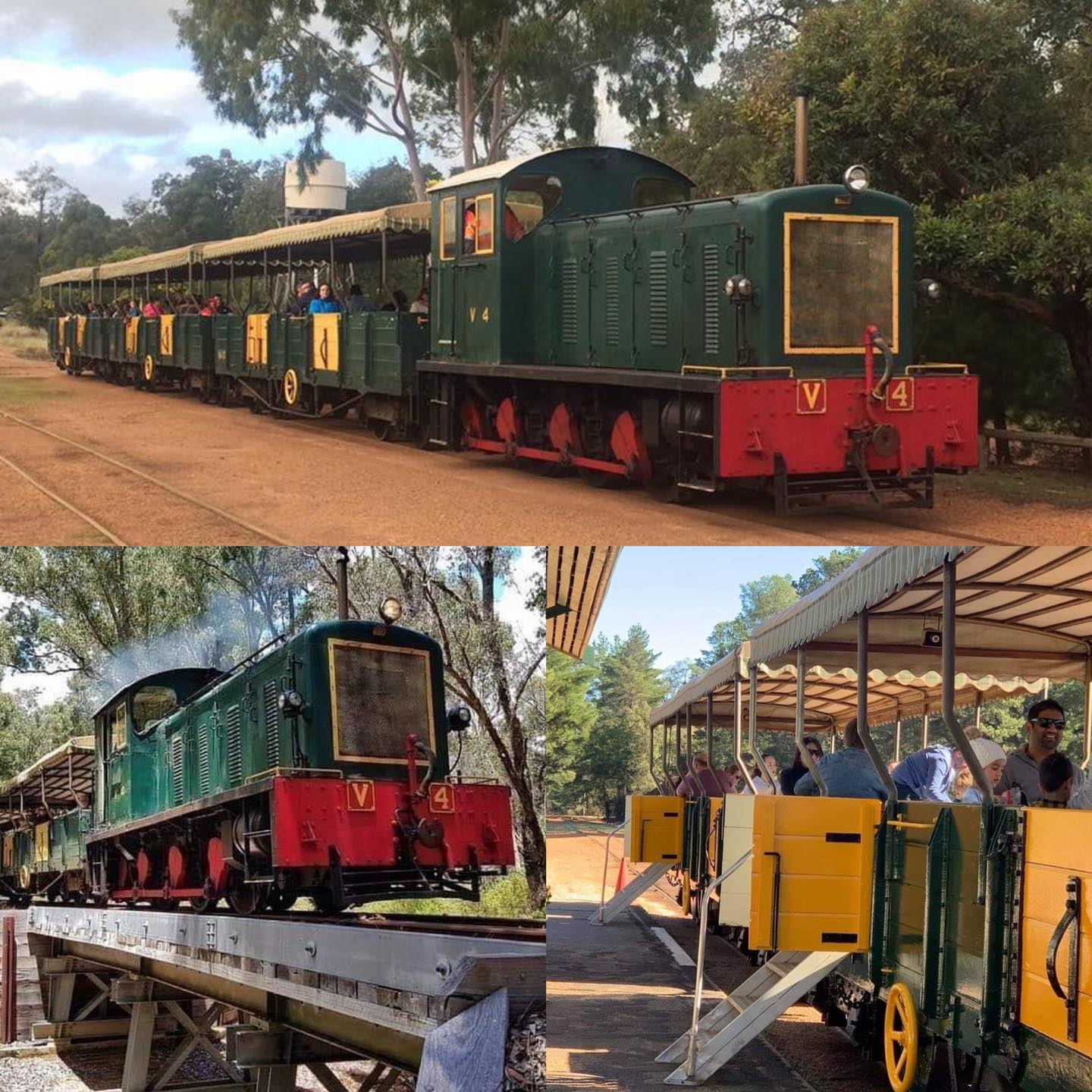 FOREST SURPRISE TOUR & DIESEL TRAIN