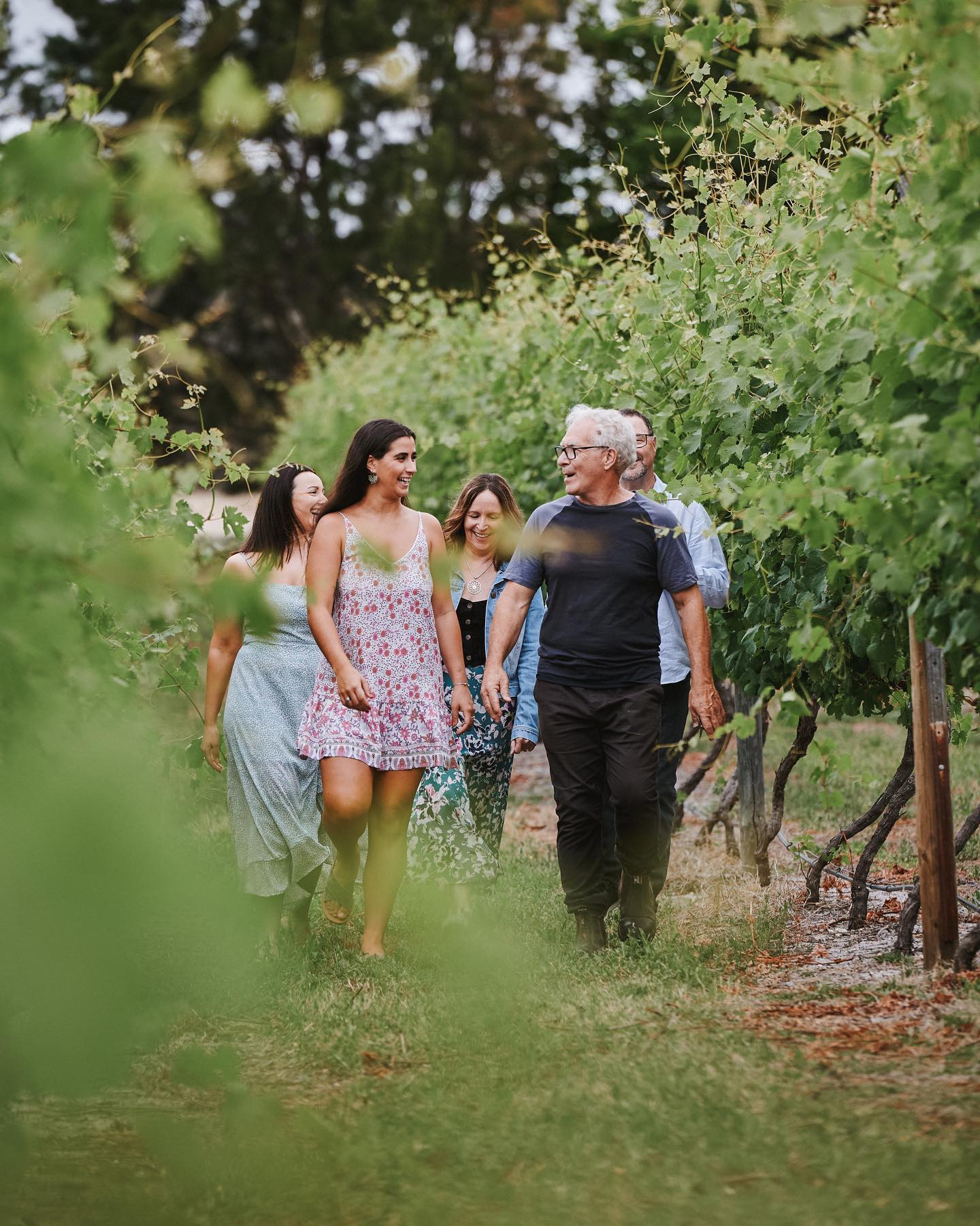 “A TASTE OF ITALY” VINEYARD, WINERY & GRAZING EXPERIENCE