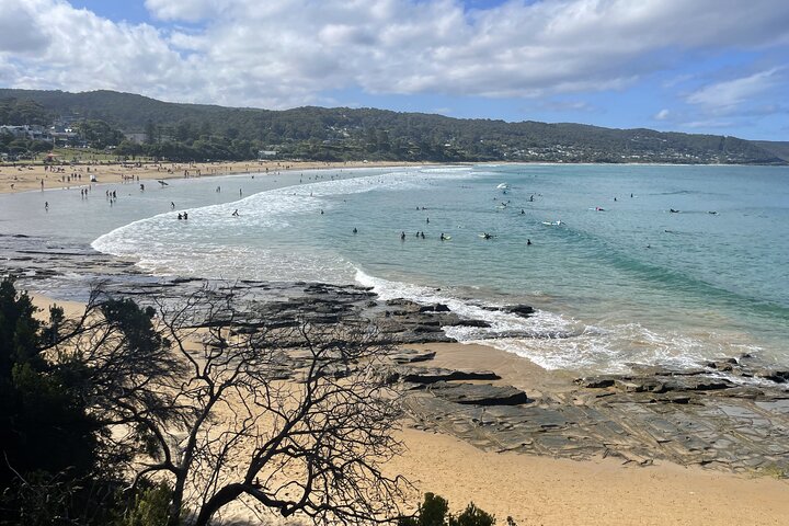 Great Ocean Road to Lorne beaches & Waterfall Melbourne DayTrip