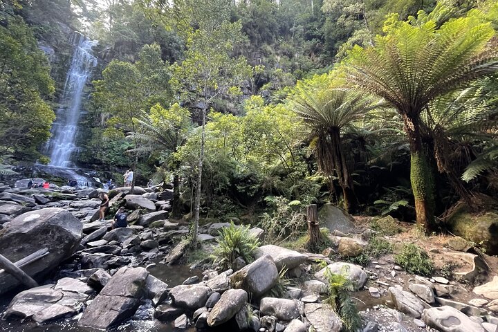 Great Ocean Road to Lorne beaches & Waterfall Melbourne DayTrip