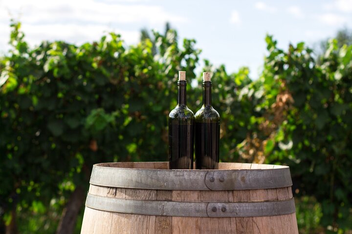 Canberra Murrumbateman Winery Expedition: Full Day