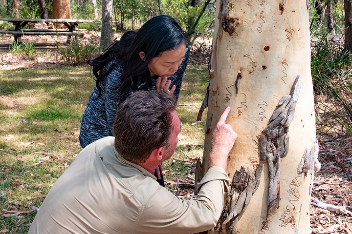 Horse Riding, Koalas & Kangaroos - Wild Australia: Private Tour