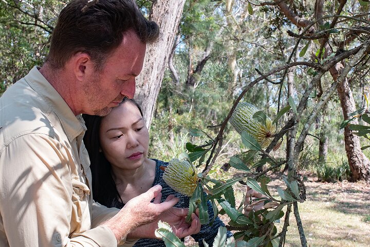 Nature and Wildlife: Australia in One Day - Private Tour