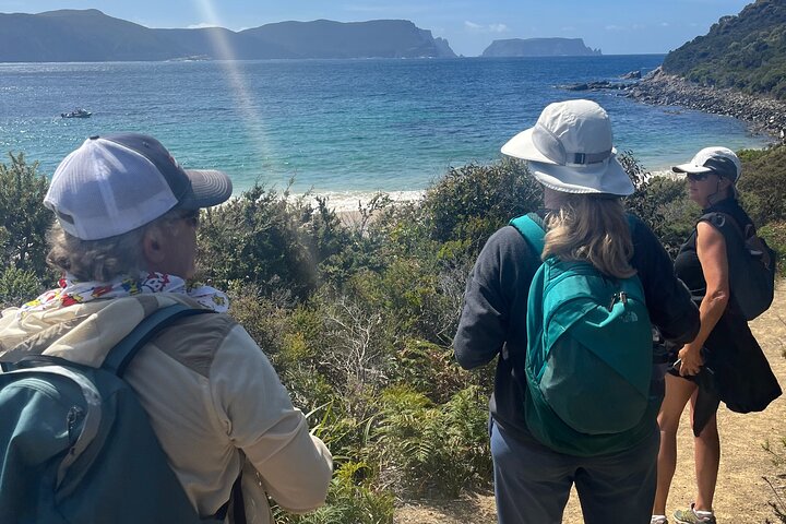 Private Tasman Peninsula Walking Tour