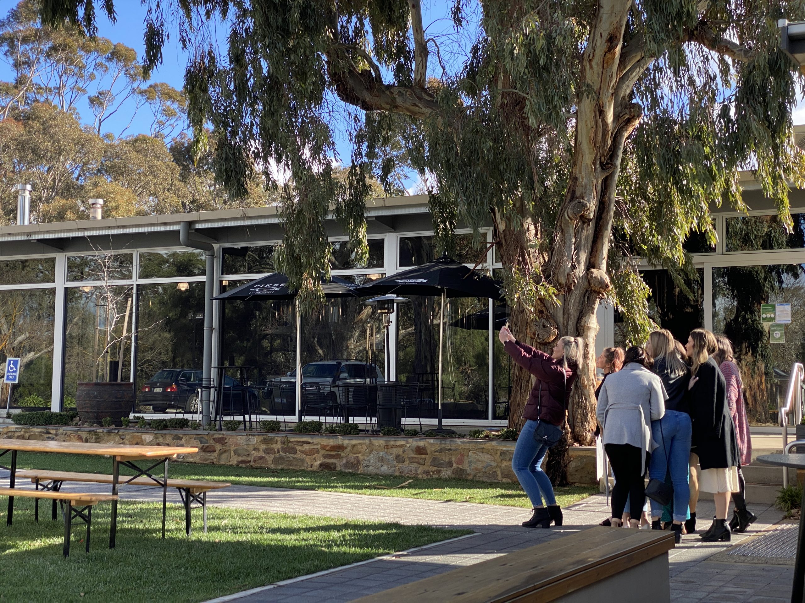 Wine Tour & Lunch – Clare Valley