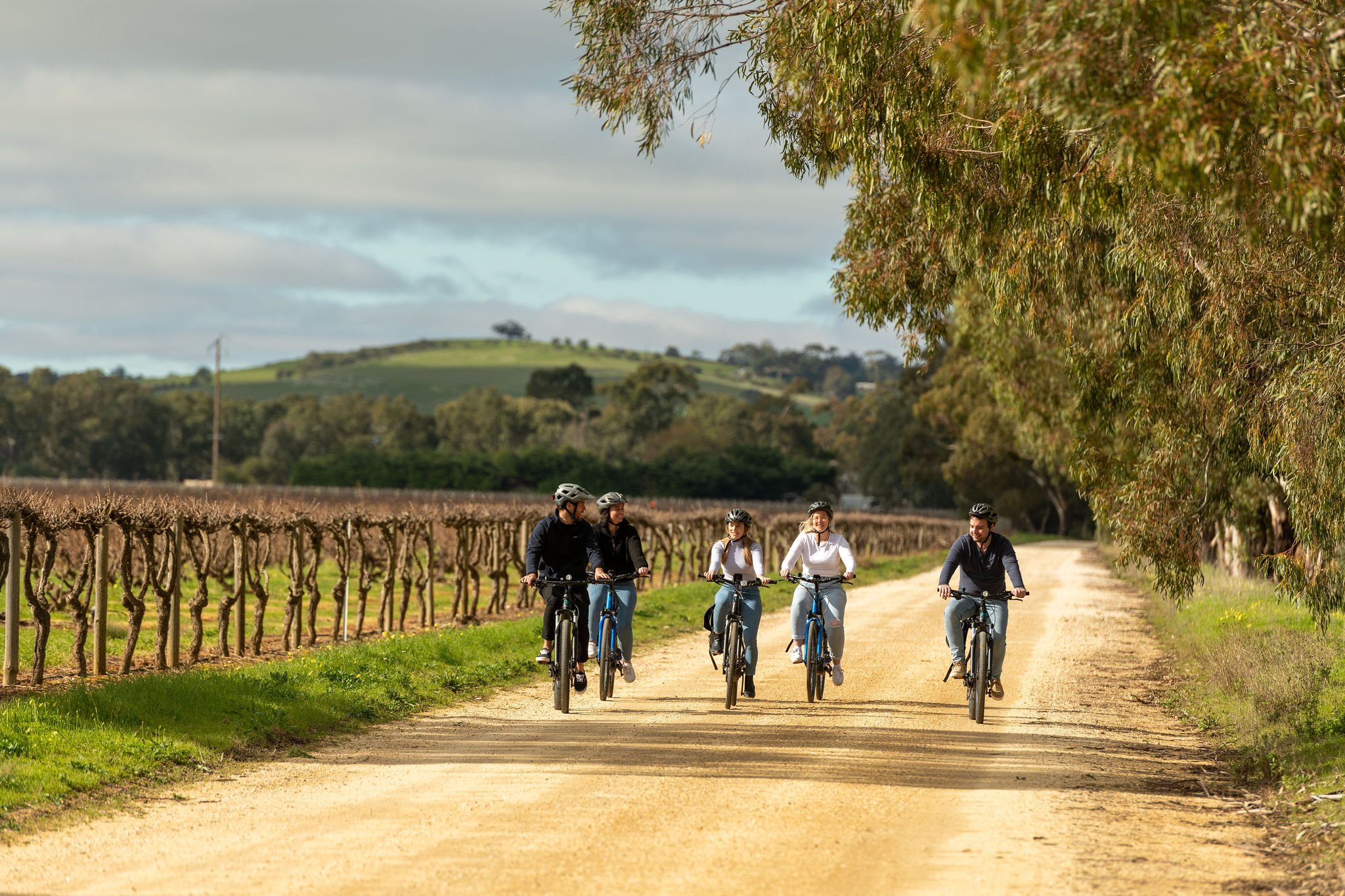 ‘Experience Barossa’ Gourmet Food & Wine E-Bike Tour (Private)