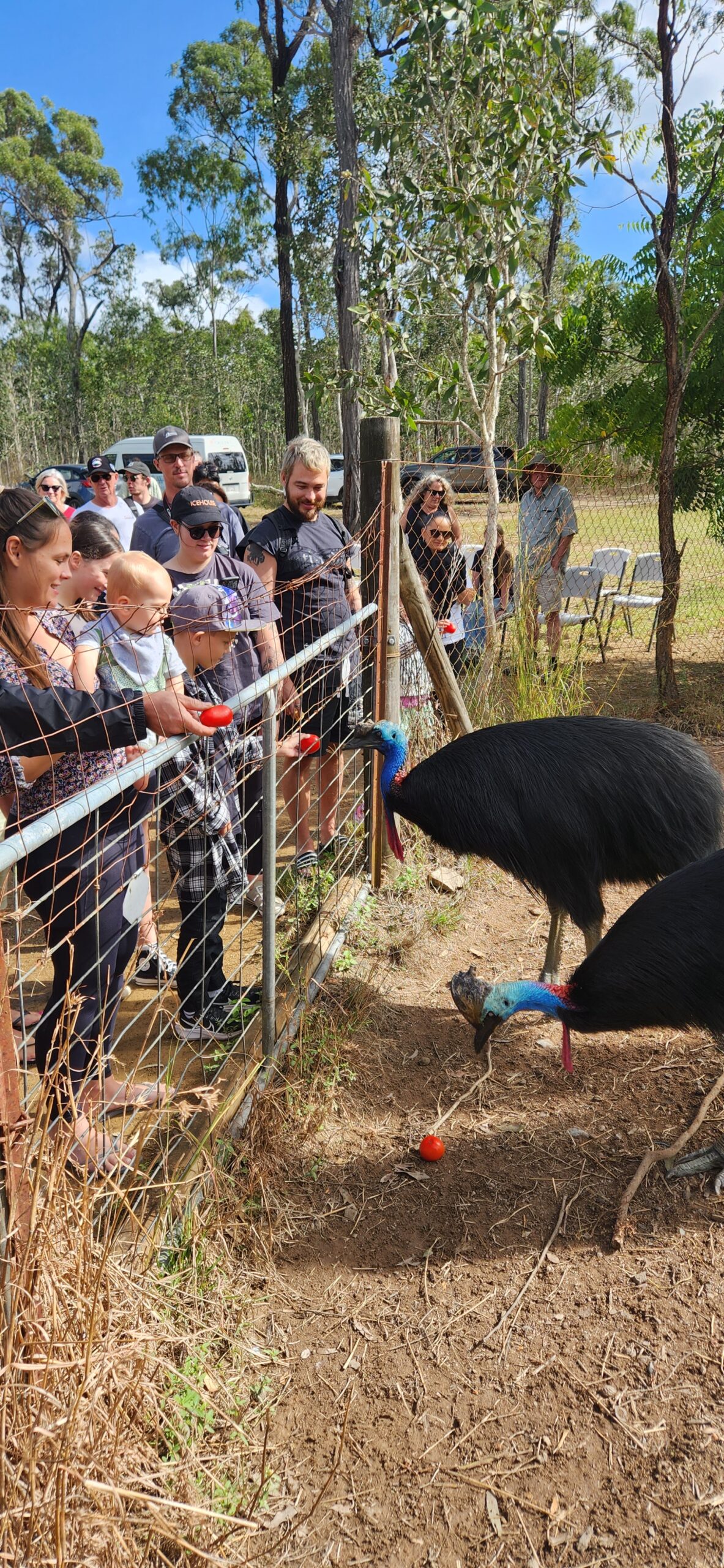 Bredl's Wildfarm