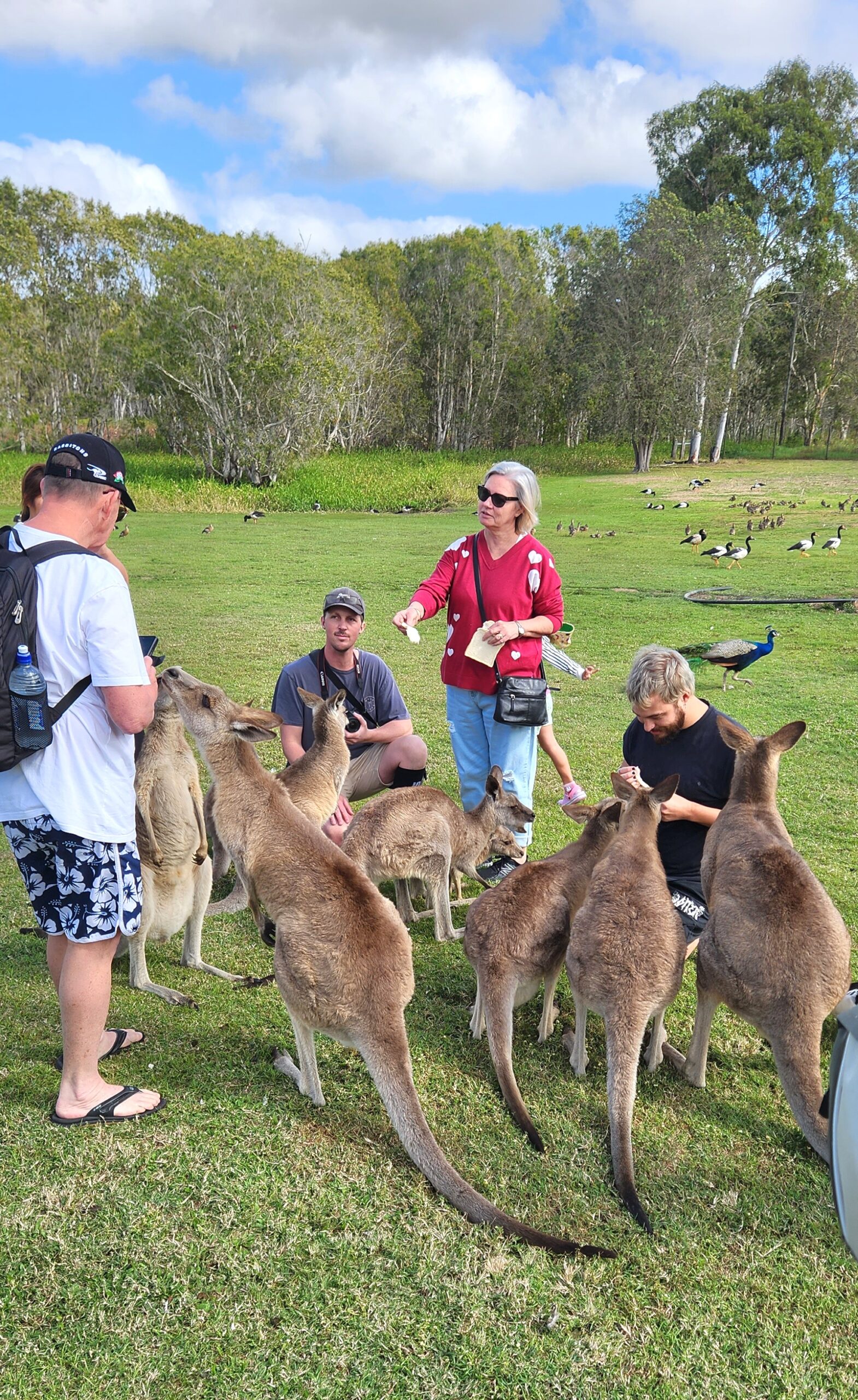 Bredl's Wildfarm