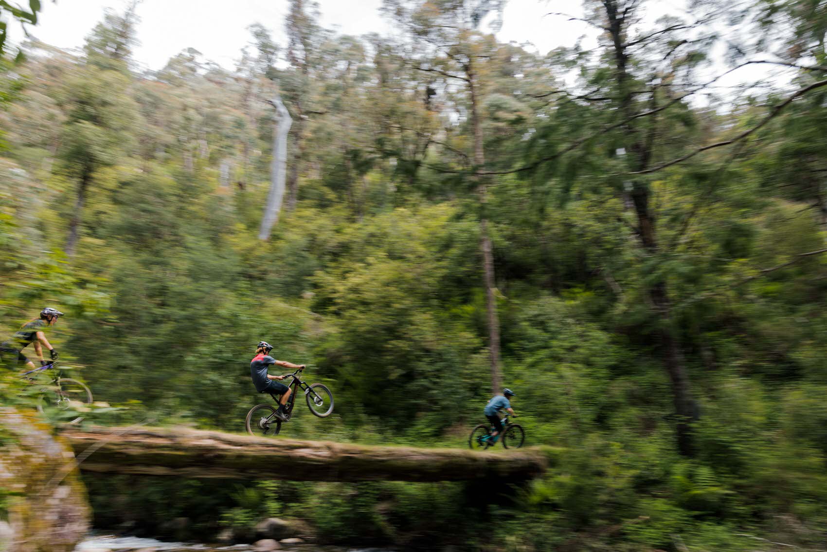 Ultimate High Country MTB Experience - Victorian High Country