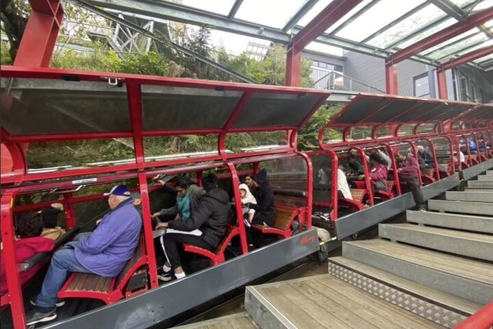 Small Group Blue Mountains and Scenic World Tour All Inclusive