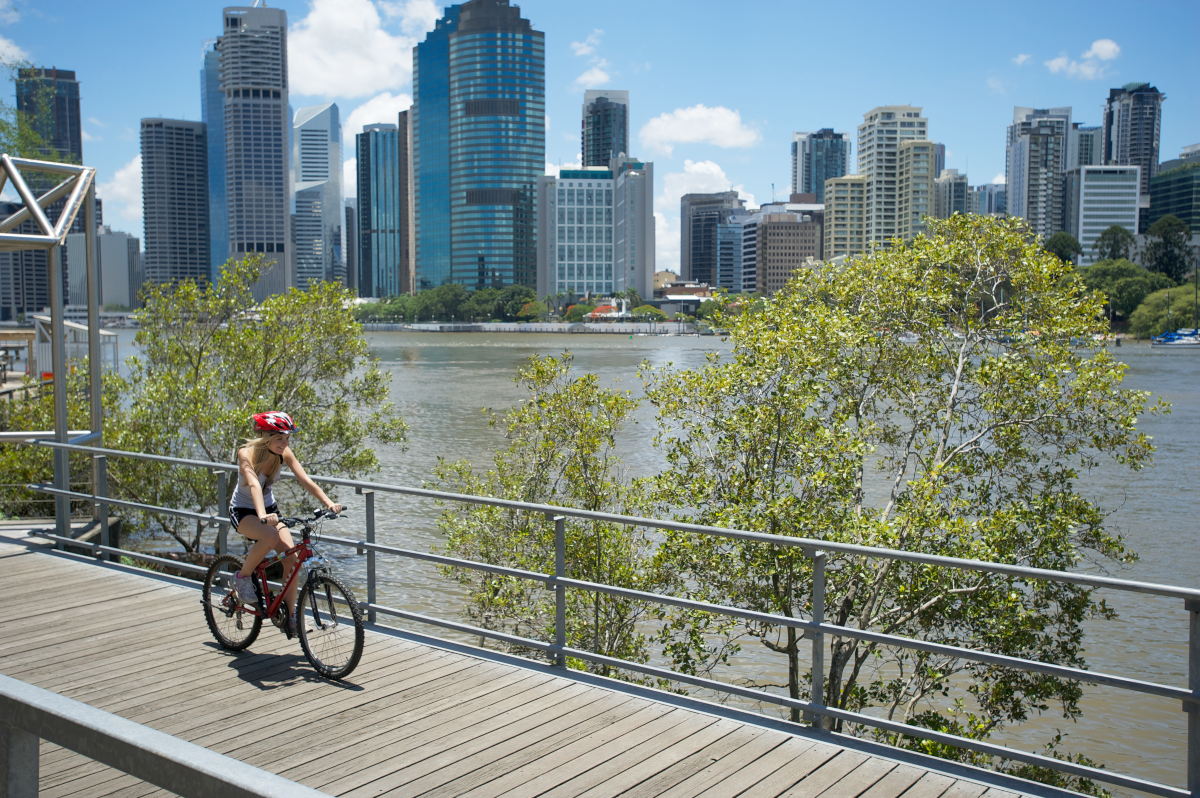 Half-Day Bike Hire