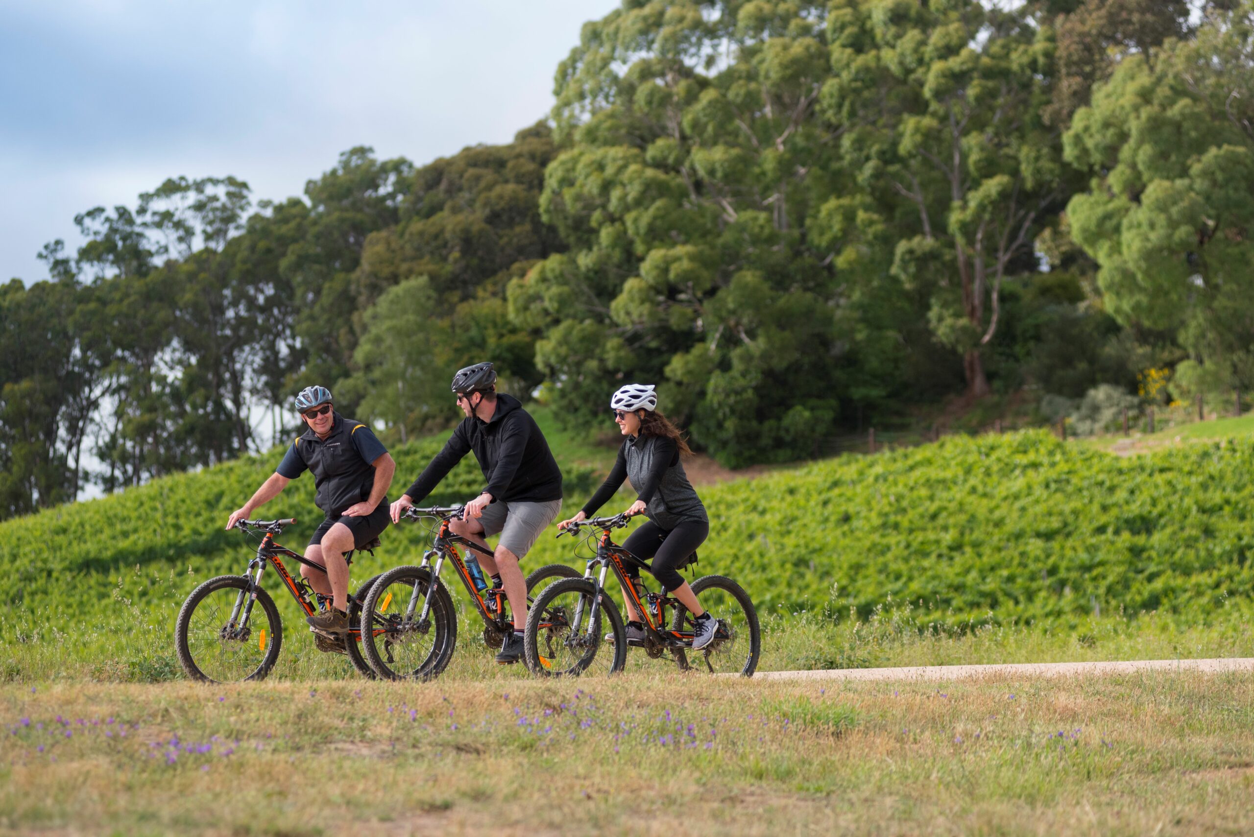 'A Taste of Hahndorf' Gourmet Food & Wine e-Bike Tour (Private)