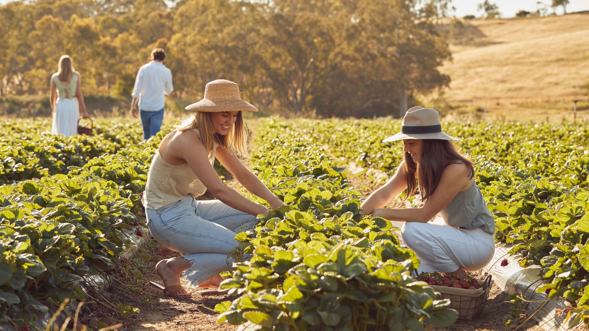 'A Taste of Hahndorf' Gourmet Food & Wine e-Bike Tour (Private)