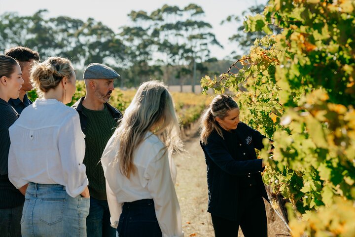 Behind The Scenes Tour with Food & Wine Pairing