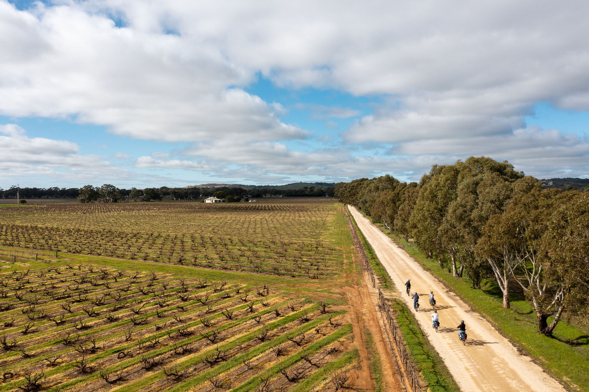 'Experience Barossa' Gourmet Food & Wine E-Bike Tour (Private)