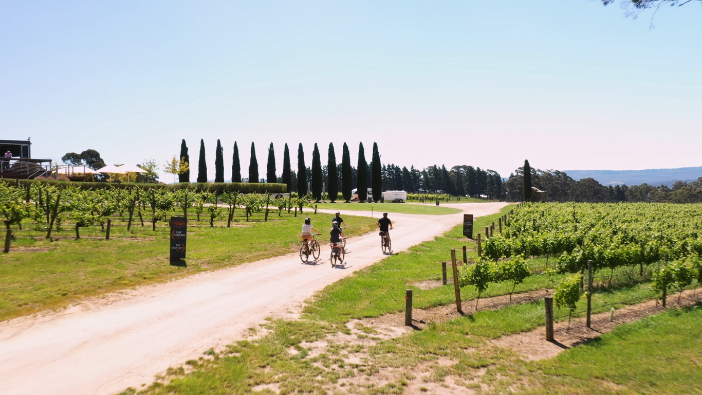 'A Taste of Hahndorf' Gourmet Food & Wine e-Bike Tour (Private)