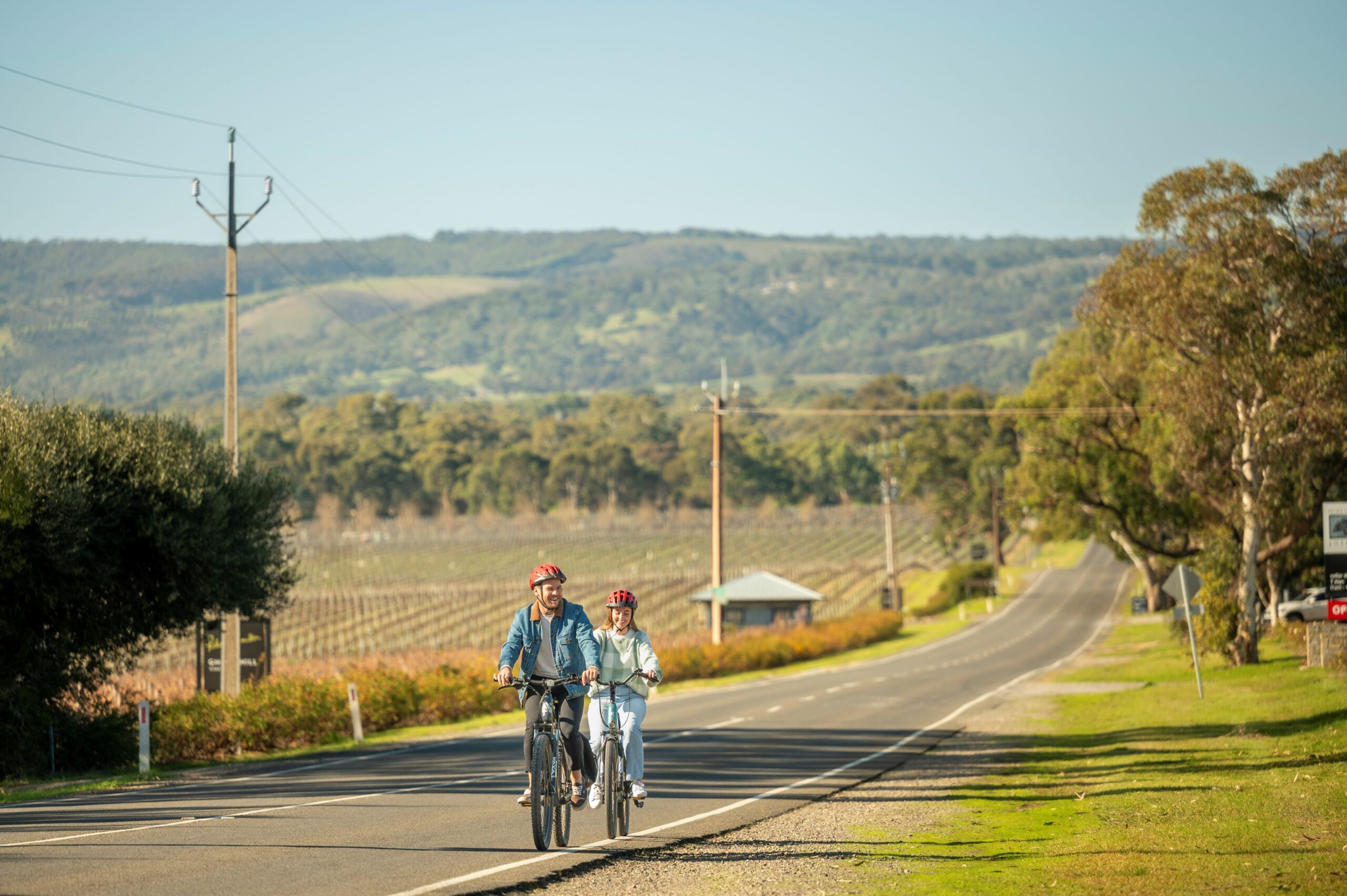 'A Taste of Hahndorf' Gourmet Food & Wine e-Bike Tour (Private)