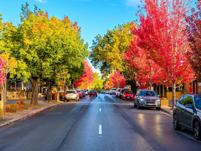 'A Taste of Hahndorf' Gourmet Food & Wine e-Bike Tour (Private)