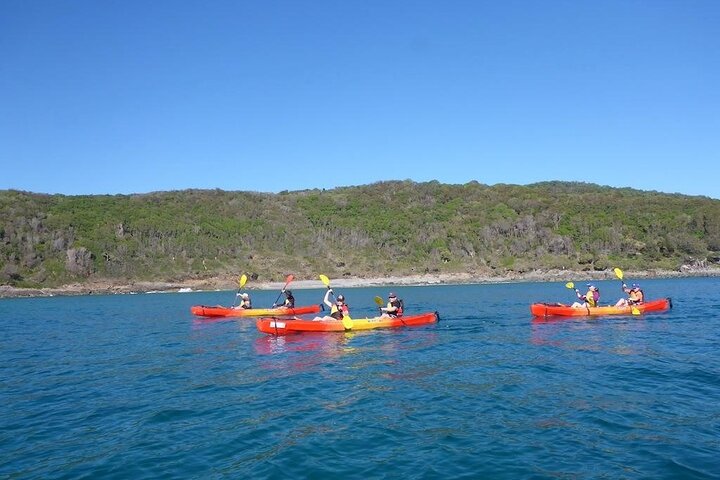 Mansions and Mangroves Kayak Tour on the Noosa River
