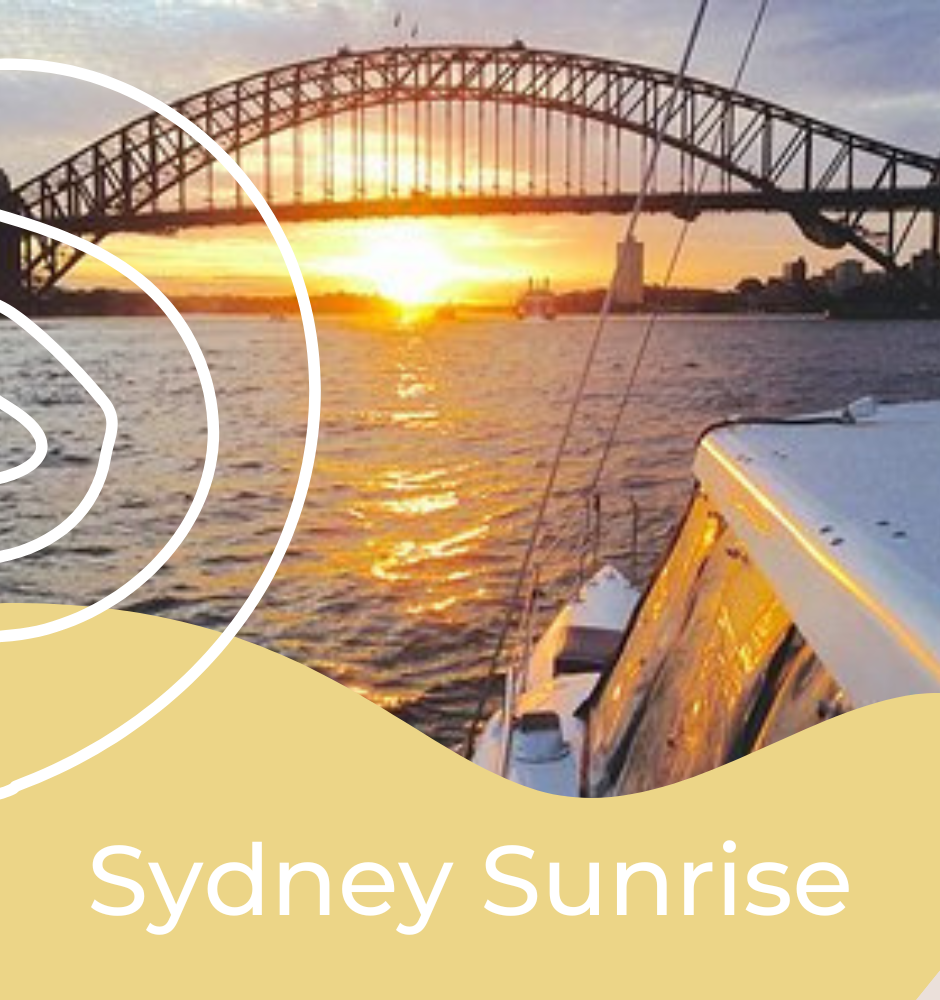 Sydney Harbour 4hr Private Catamaran Boat Charter