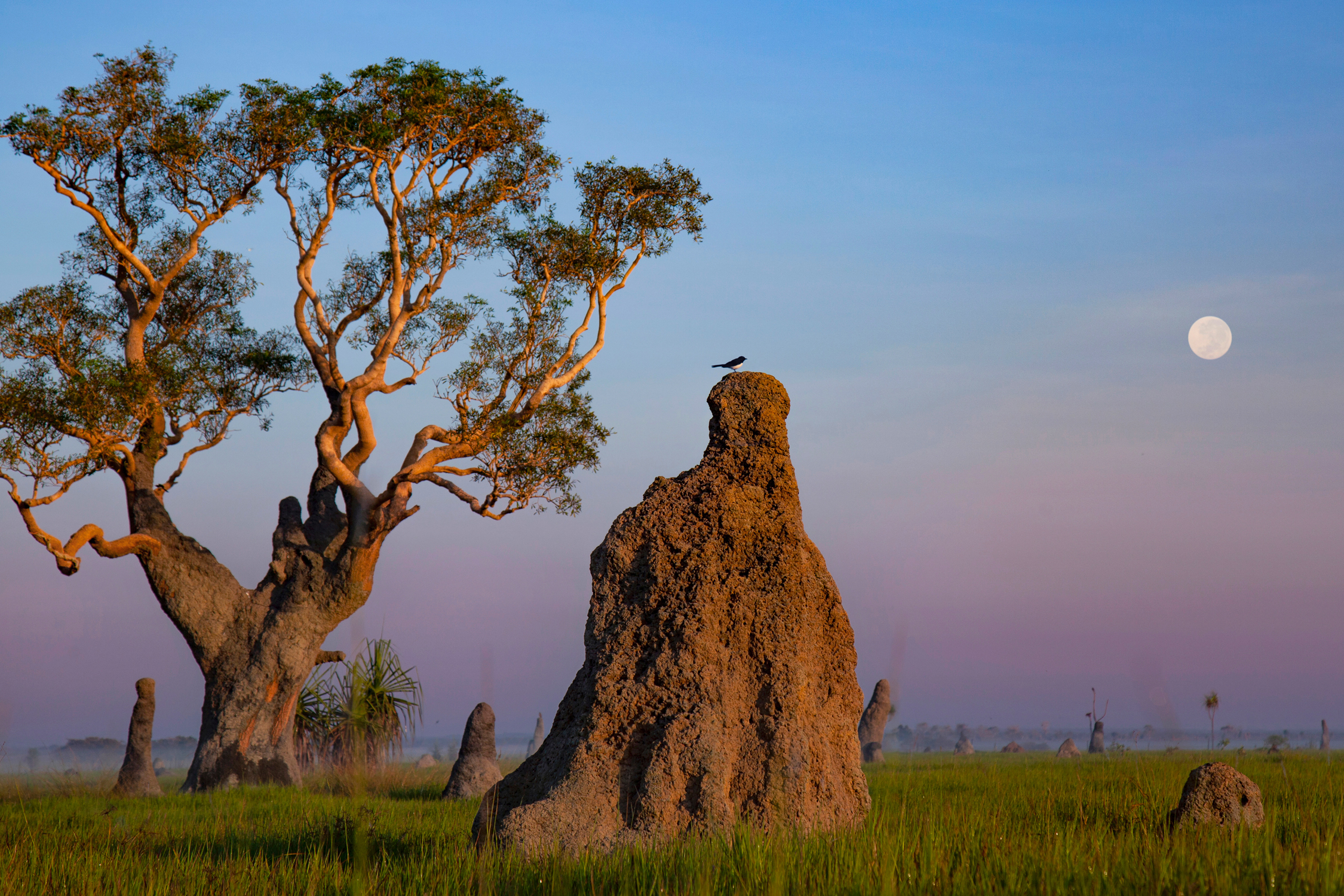 Outback Camp Over Night Tour