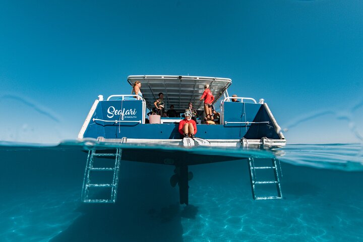7 Hours Off Peak Whale Shark and Ningaloo Reef Tour in Exmouth