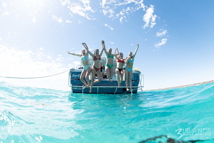 7 Hours Off Peak Whale Shark and Ningaloo Reef Tour in Exmouth
