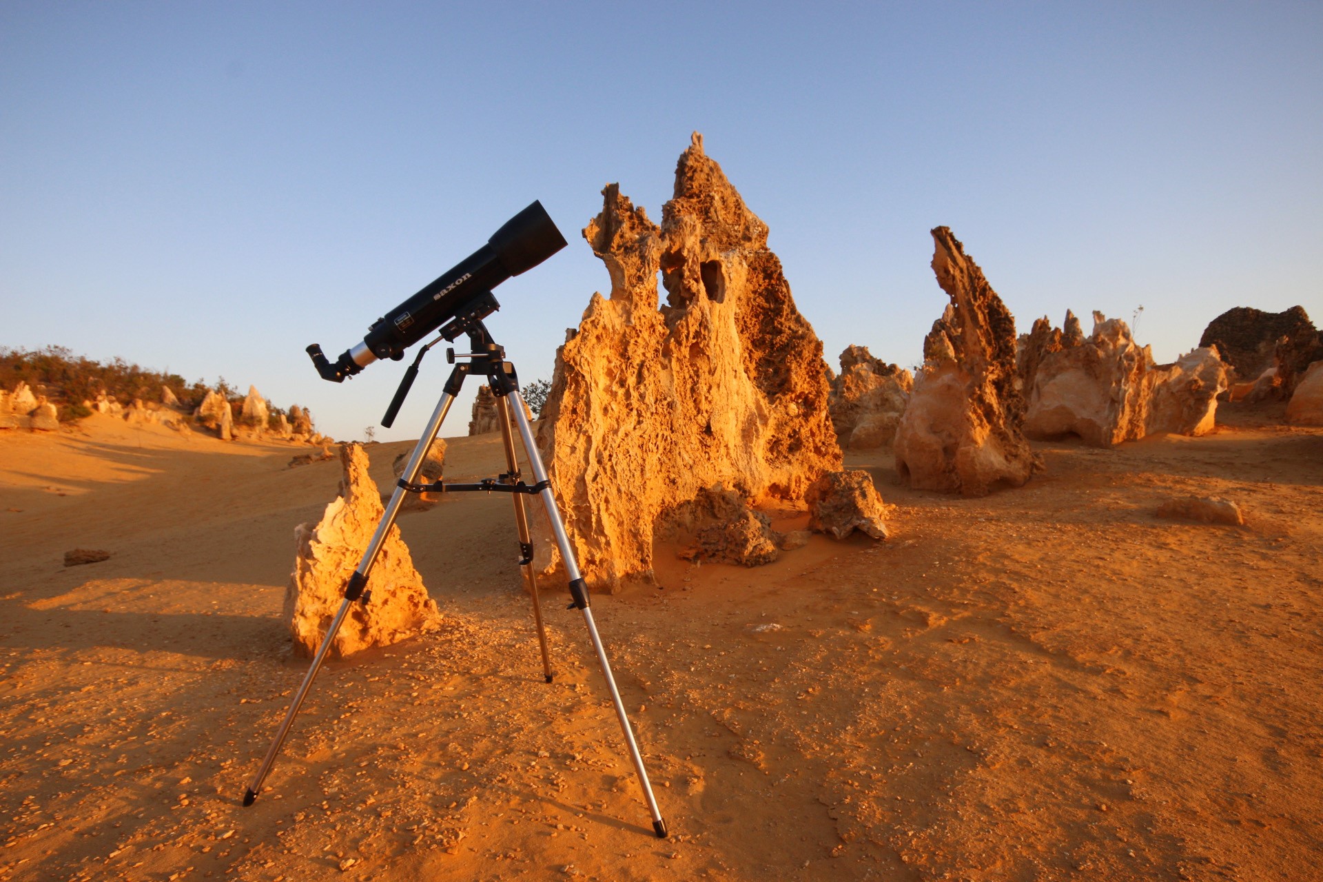 Autopia Tours: 1 Day Pinnacles Sunset Dinner Stargazing Tour