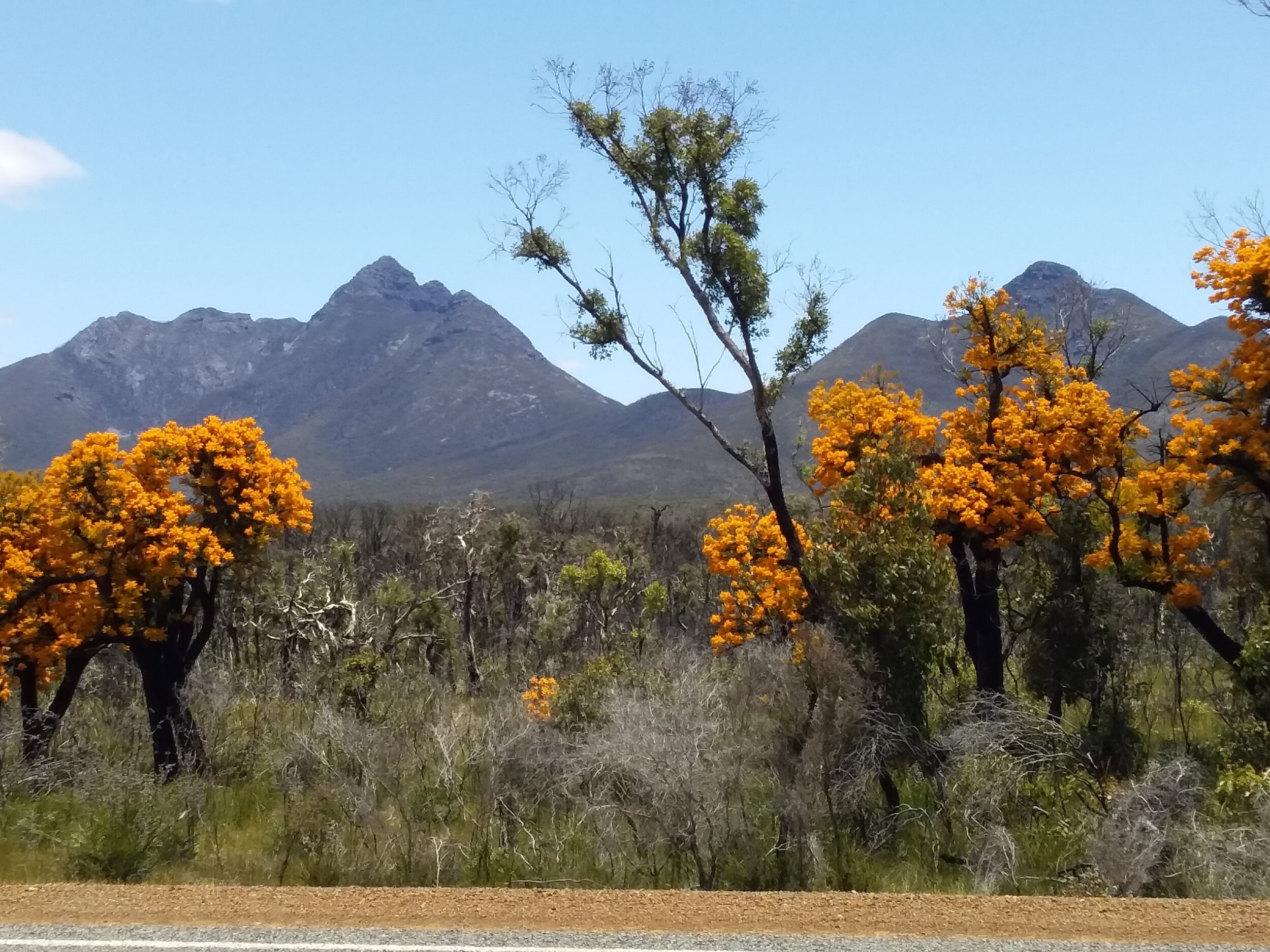 WHEATBELT TO GOLDFIELDS EPIC OUTBACK WILDERNESS TOUR