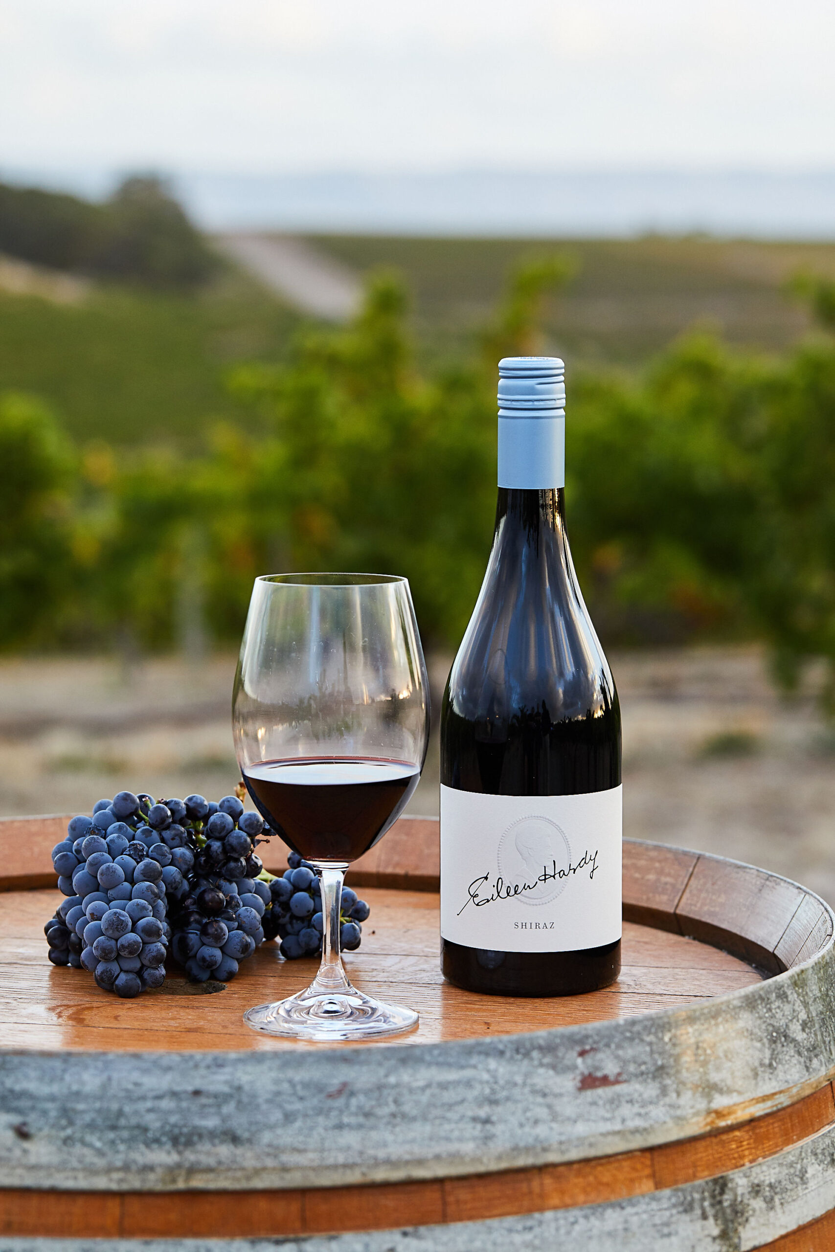 Hardys Shiraz of McLaren Vale Wines