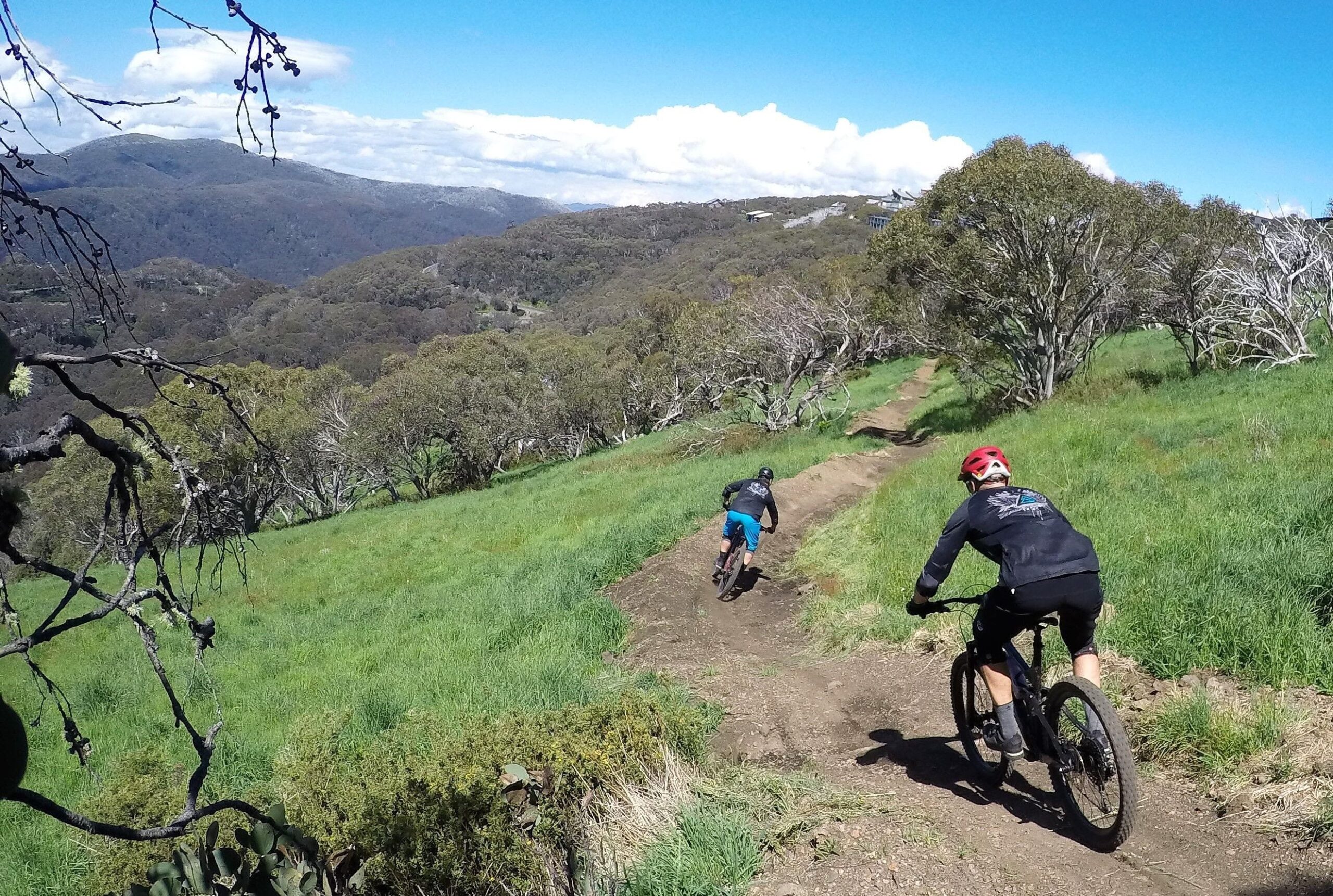 Ultimate High Country MTB Experience - Victorian High Country