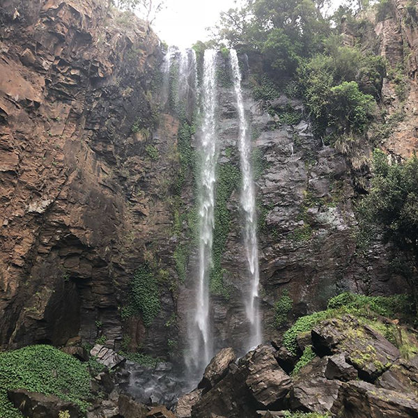 CHASING FIREFLIES & WATERFALLS - SE QLD - HIKING/CAMPING/WILDLIFE