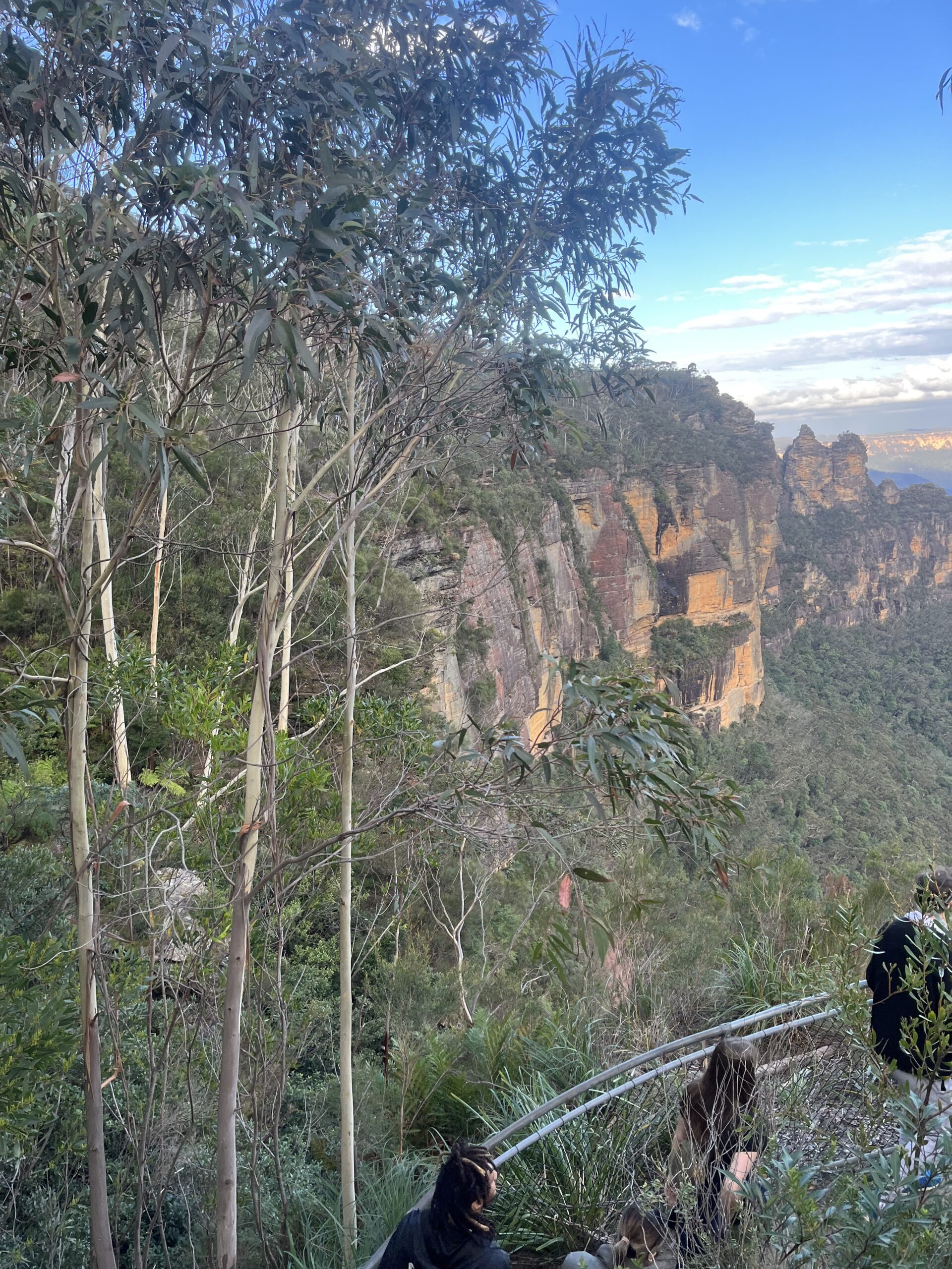 Blue Mountains Private Eco Tour Small Group