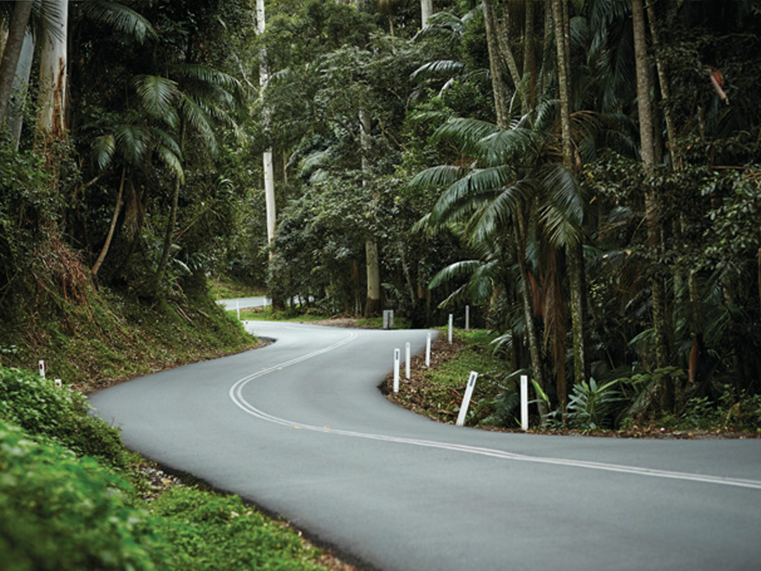 Tamborine Mountain Tourist Shuttle - Hop on Hop Off